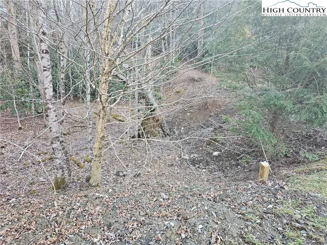 $99,000 | Lot #1 Creekside Meadows, Newland, NC 28657
