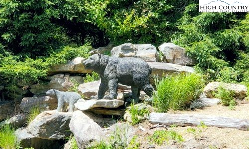 Lot #1 Creekside Meadows Newland, NC 28657 - Photo 16 of 19 a view of backyard with plants and outdoor seating