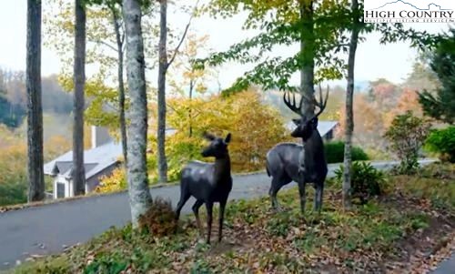 Lot #1 Creekside Meadows Newland, NC 28657 - Photo 17 of 19 a view of yard from balcony