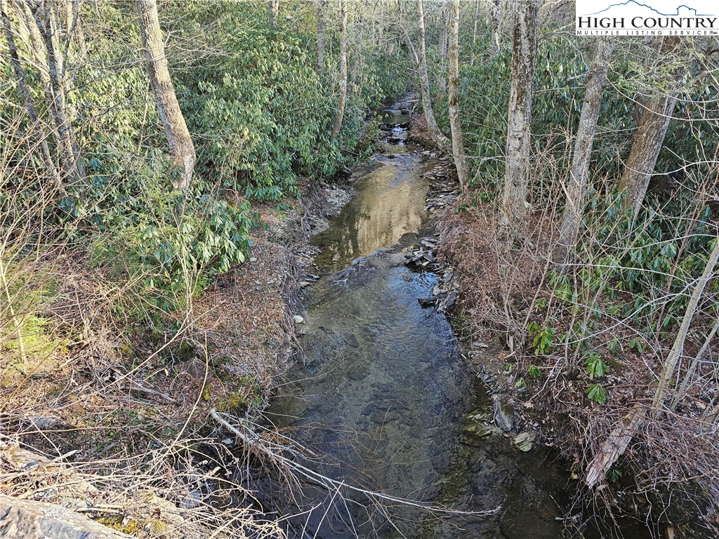 Lot #1 Creekside Meadows Newland, NC 28657 - Photo 2 of 19 a view of a forest with lots of trees