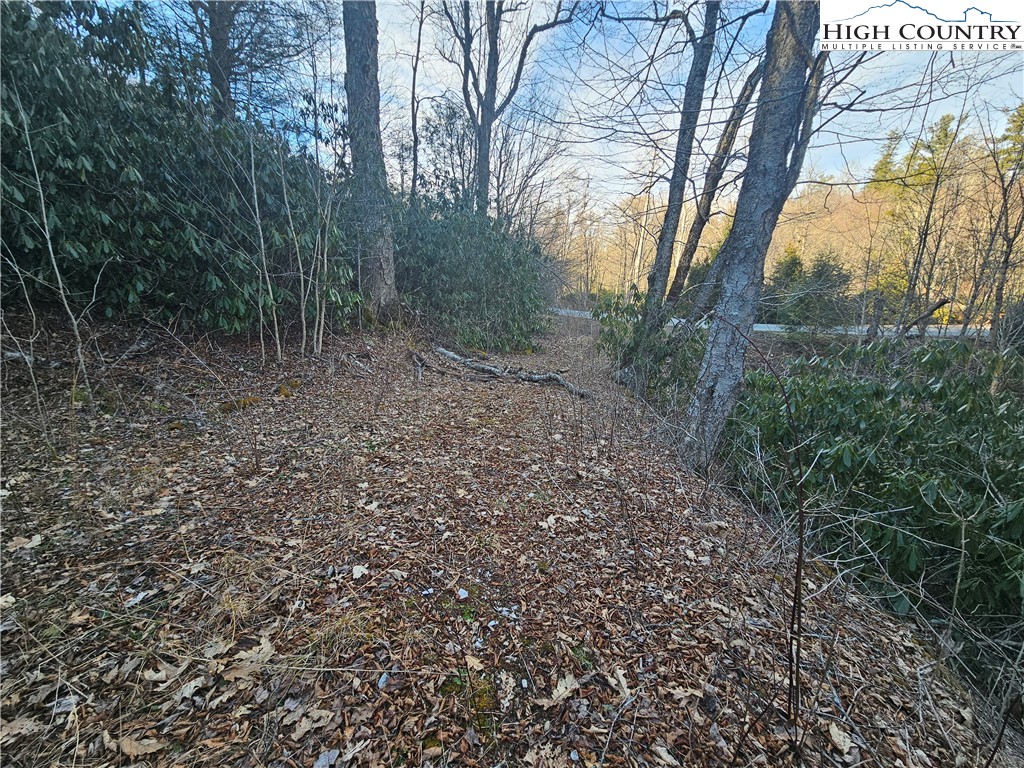 Lot #1 Creekside Meadows Newland, NC 28657 - Photo 4 of 19 a view of a forest with trees in the background