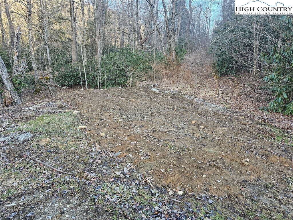 Lot #1 Creekside Meadows Newland, NC 28657 - Photo 5 of 19 a view of a forest with trees in the background
