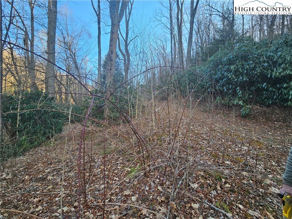 Lot #1 Creekside Meadows Newland, NC 28657 - Photo 6 of 19 a backyard of a house with lots of green space