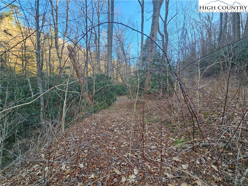 Lot #1 Creekside Meadows Newland, NC 28657 - Photo 7 of 19 a backyard of a house with lots of green space