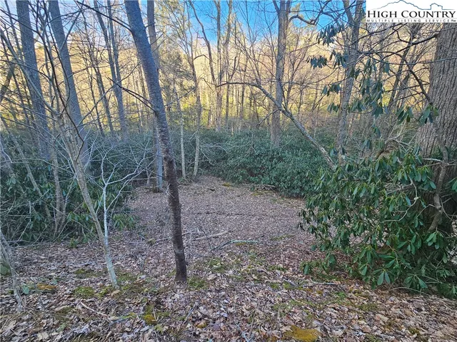 $99,000 | Lot #1 Creekside Meadows, Newland, NC 28657