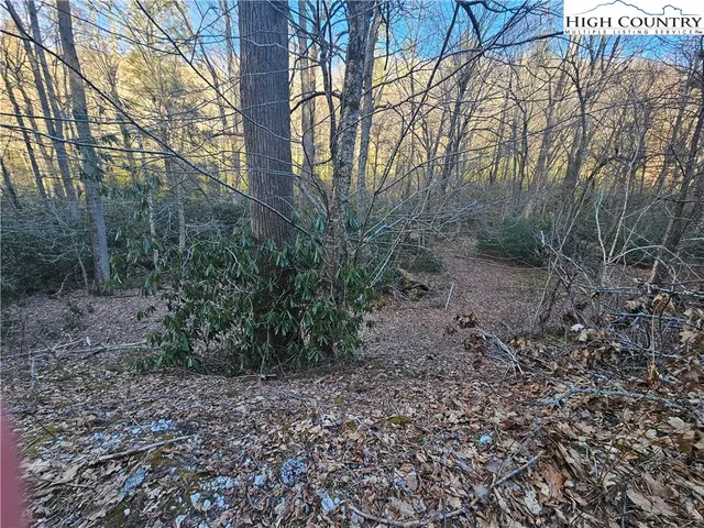 $99,000 | Lot #1 Creekside Meadows, Newland, NC 28657
