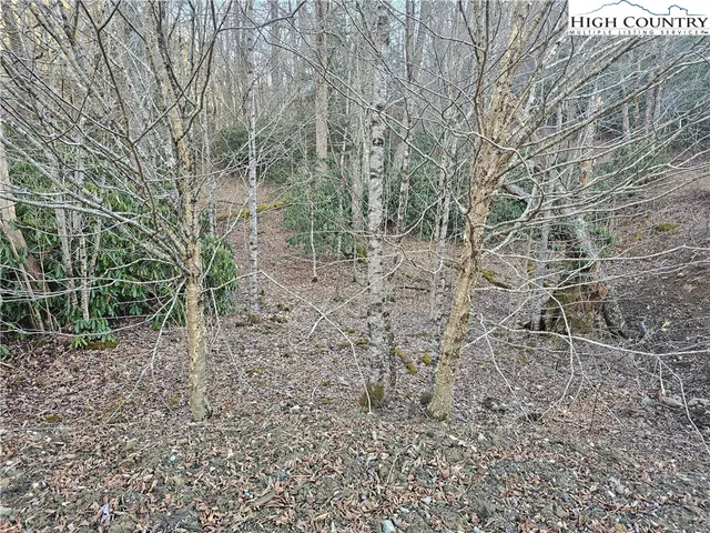 $99,000 | Lot #1 Creekside Meadows, Newland, NC 28657