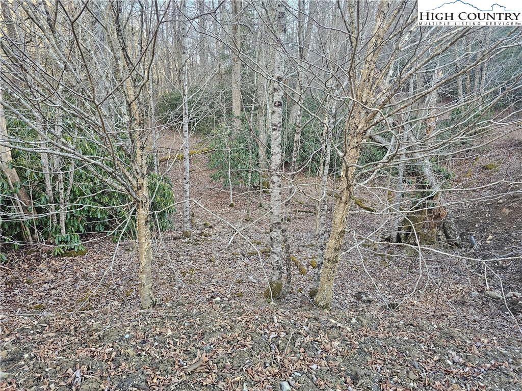 Lot #1 Creekside Meadows Newland, NC 28657 - Photo 10 of 19 a view of a pathway with a yard