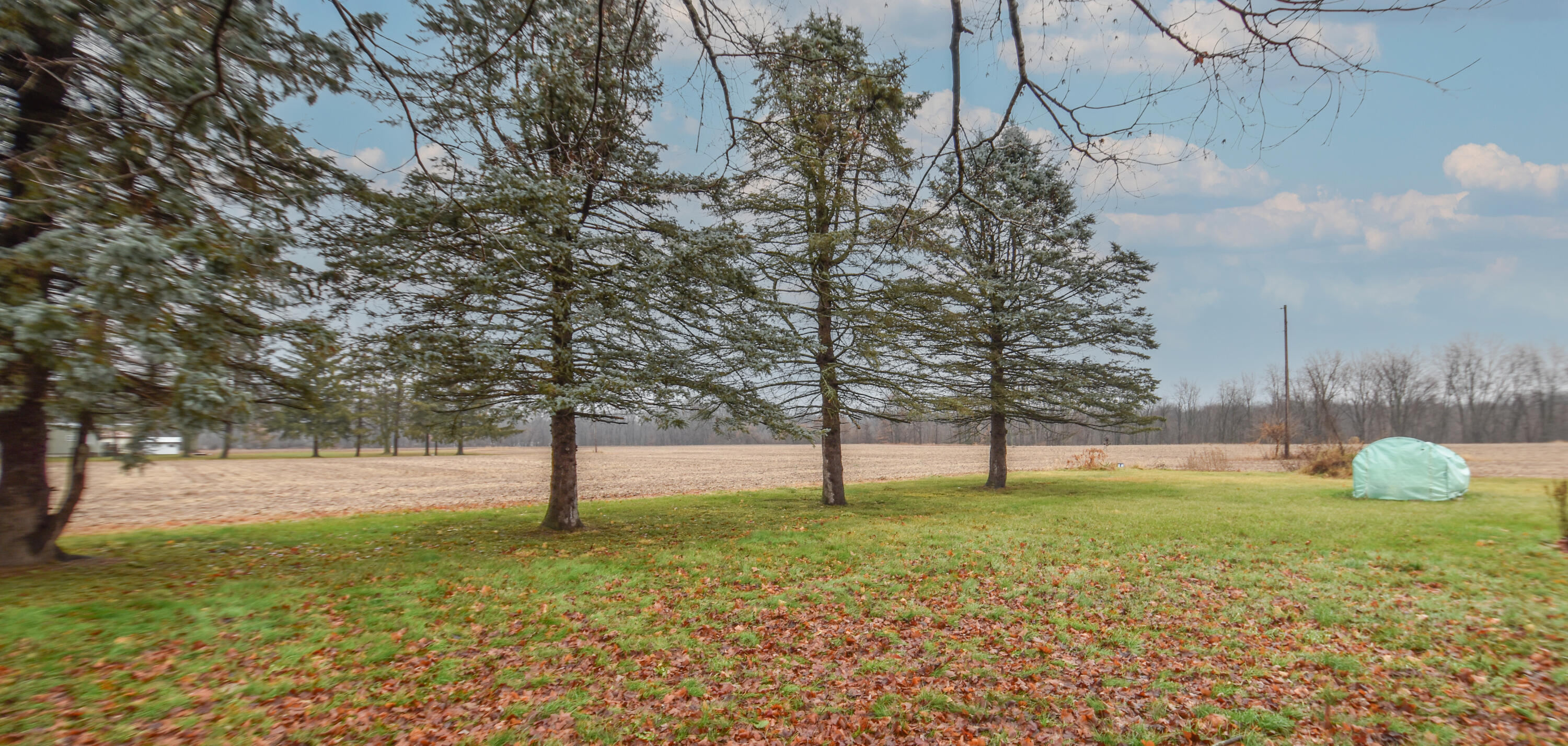 1067 Bell Road Coldwater, MI 49036 - Photo 4 of 40 DSC_1028-Edit