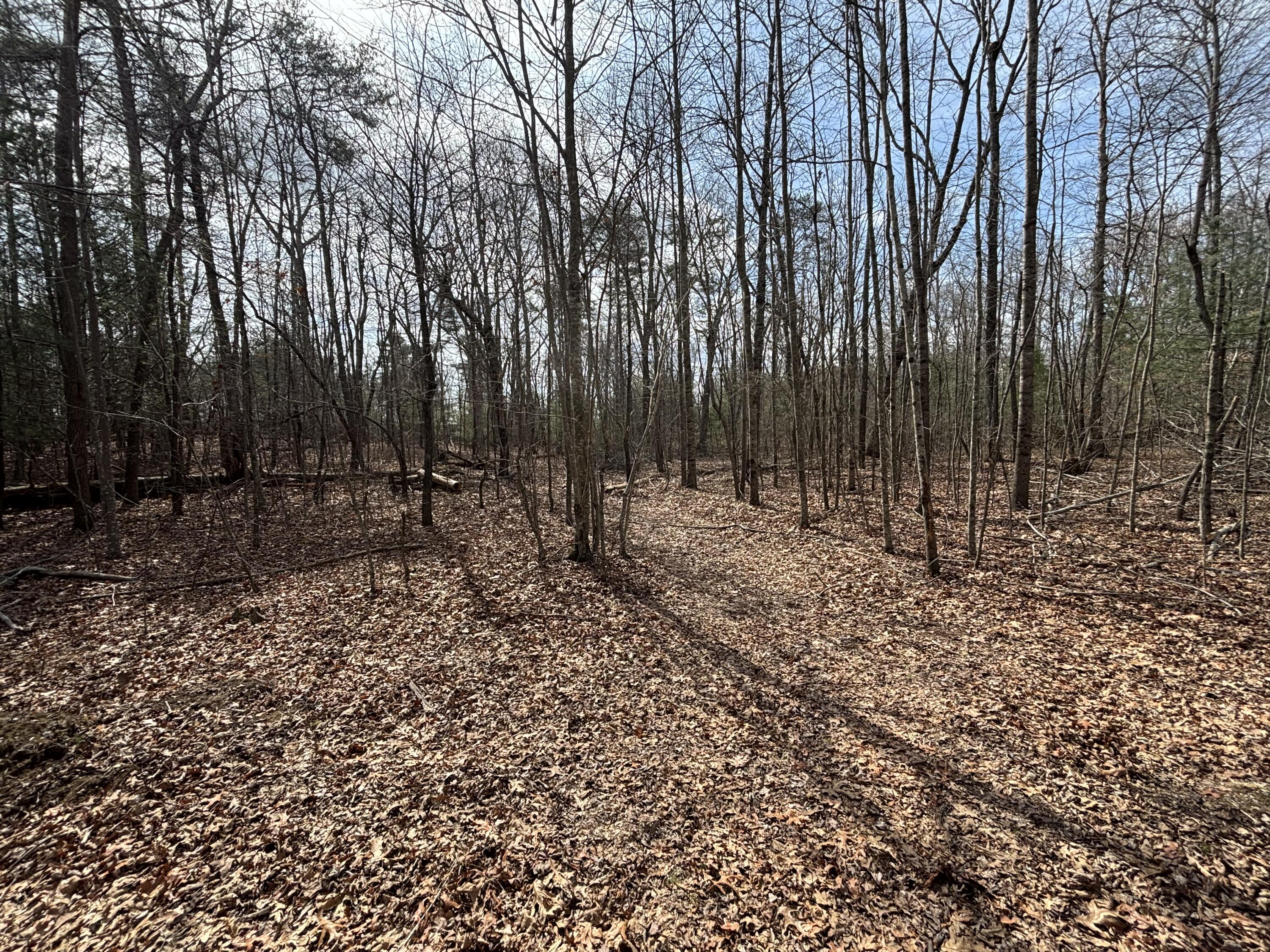 1410 New Harmony Road Graysville, TN 37338 - Photo 11 of 41 Photo Mar 04 2026, 11 37 44 AM