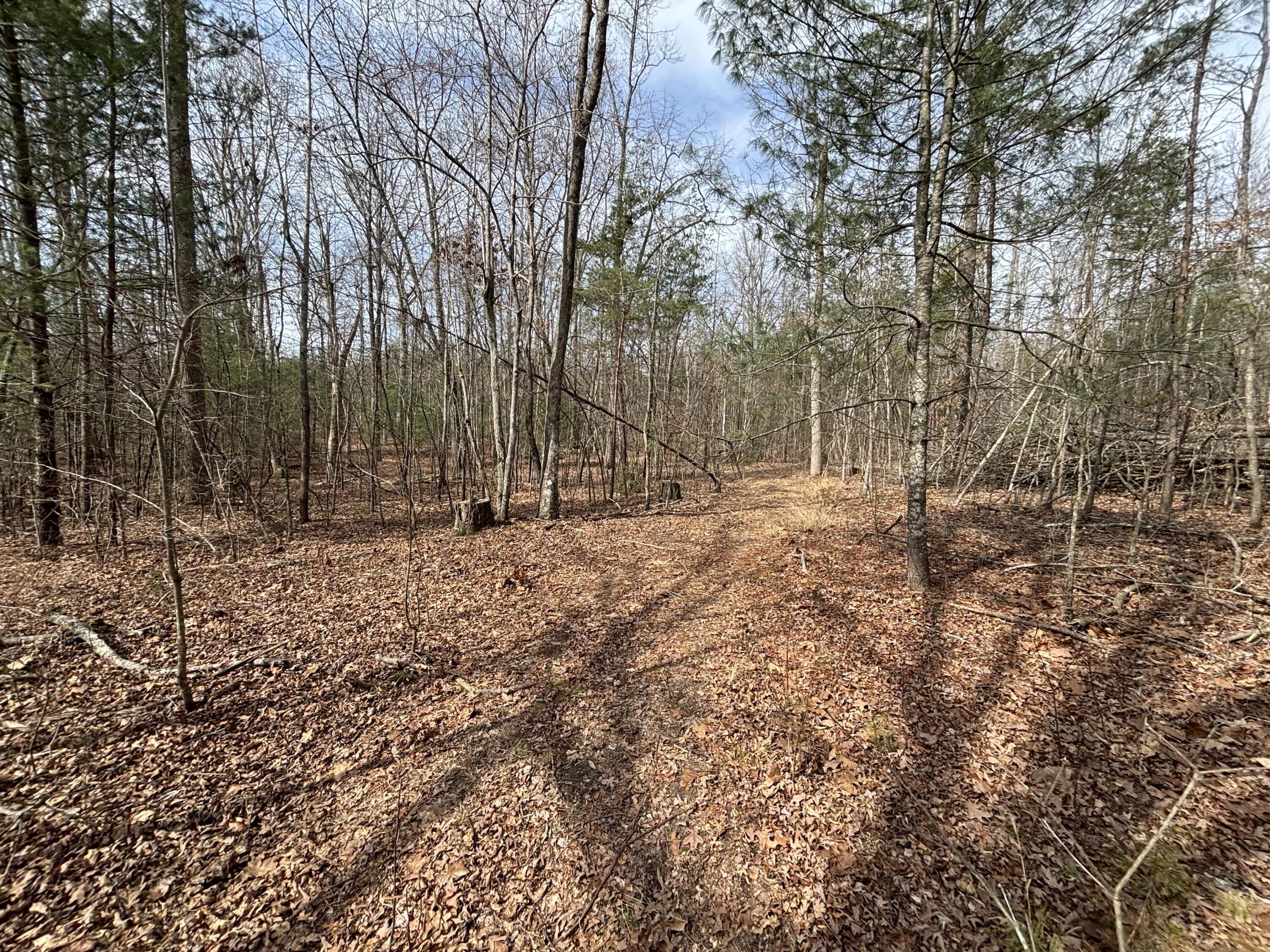 1410 New Harmony Road Graysville, TN 37338 - Photo 14 of 41 Photo Mar 04 2026, 11 39 35 AM