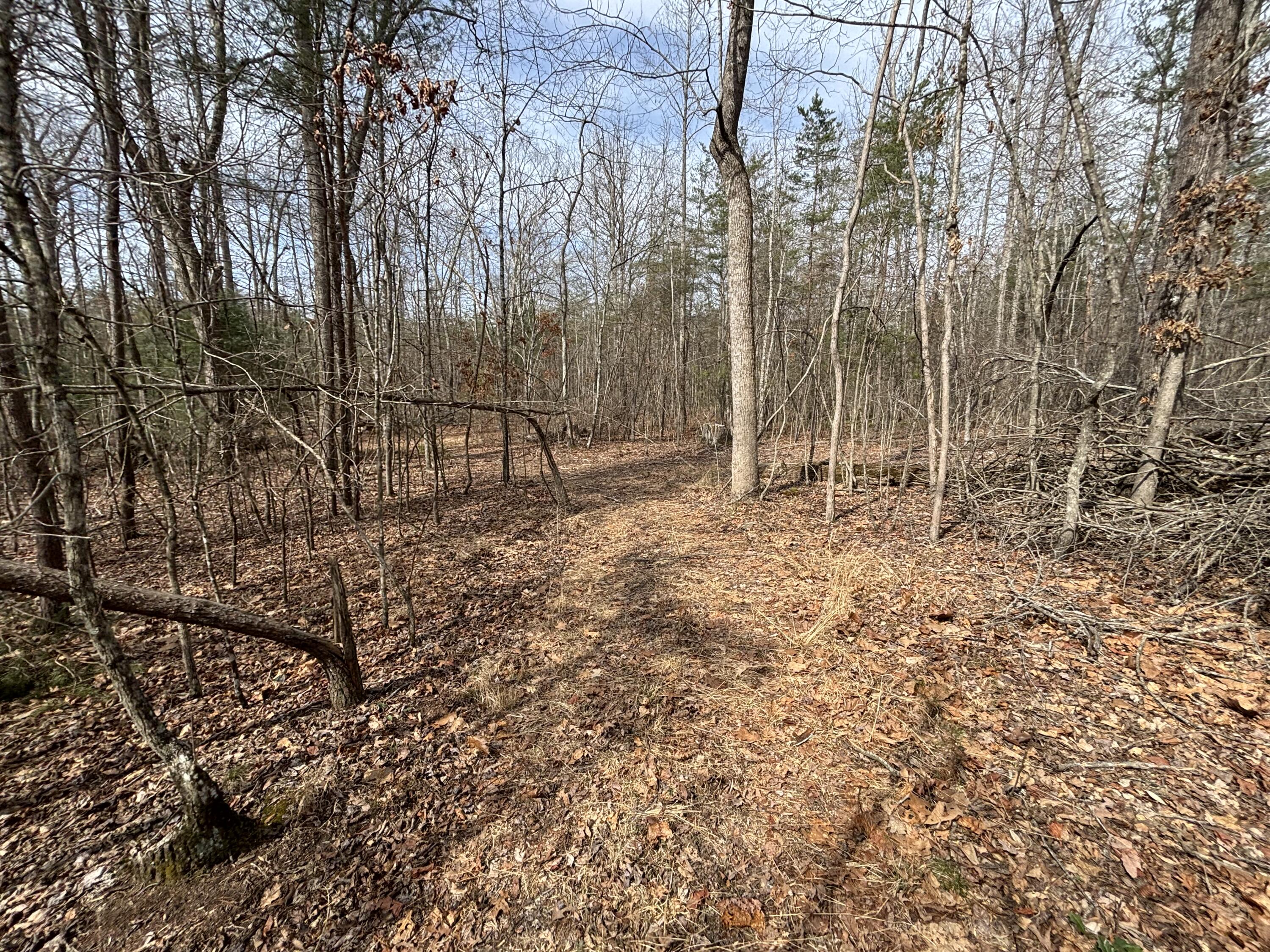 1410 New Harmony Road Graysville, TN 37338 - Photo 15 of 41 Photo Mar 04 2026, 11 39 49 AM