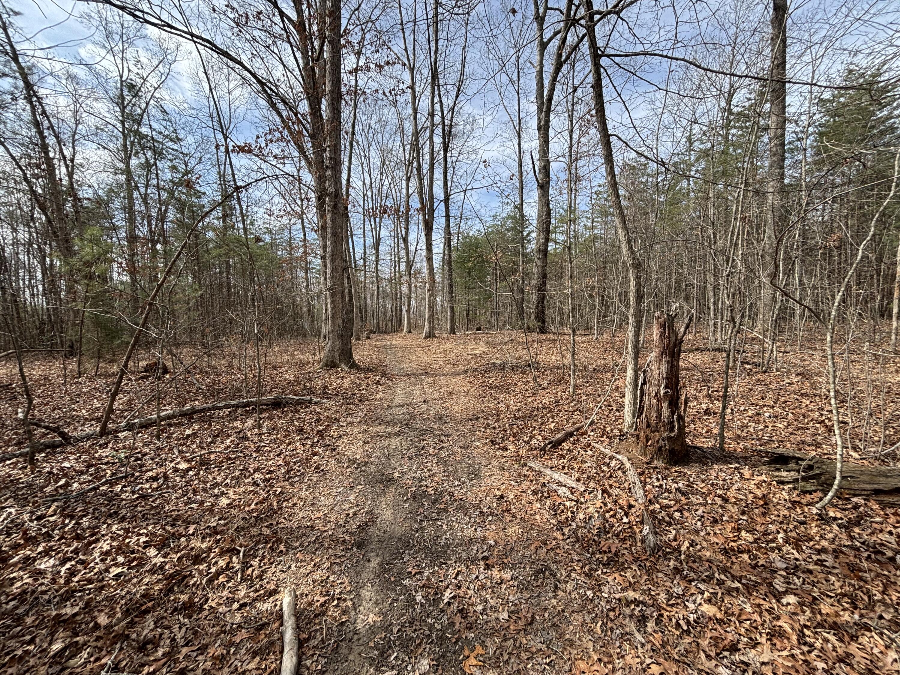 1410 New Harmony Road Graysville, TN 37338 - Photo 20 of 41 Photo Mar 04 2026, 11 42 51 AM