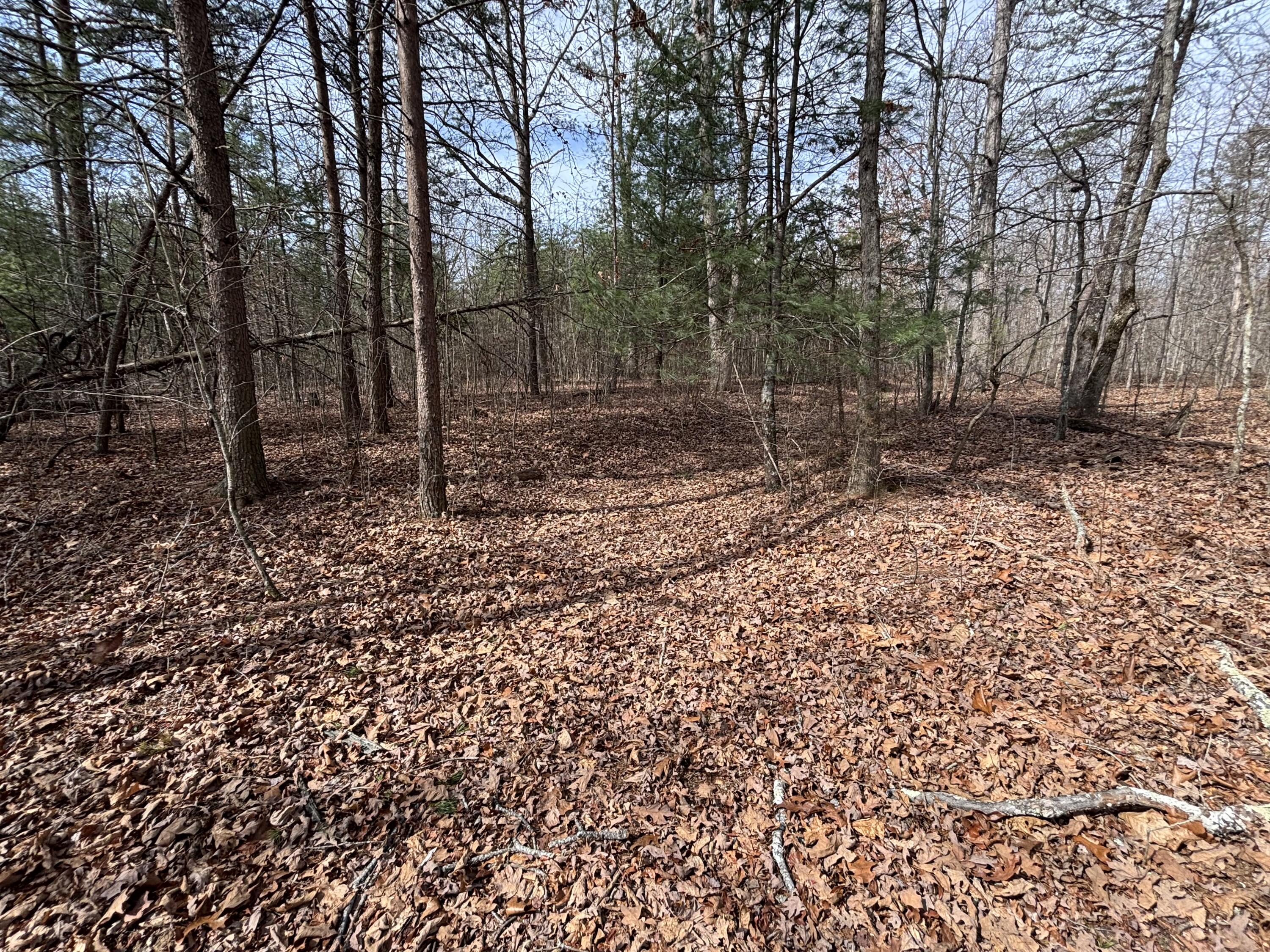 1410 New Harmony Road Graysville, TN 37338 - Photo 2 of 41 Photo Mar 04 2026, 11 33 39 AM