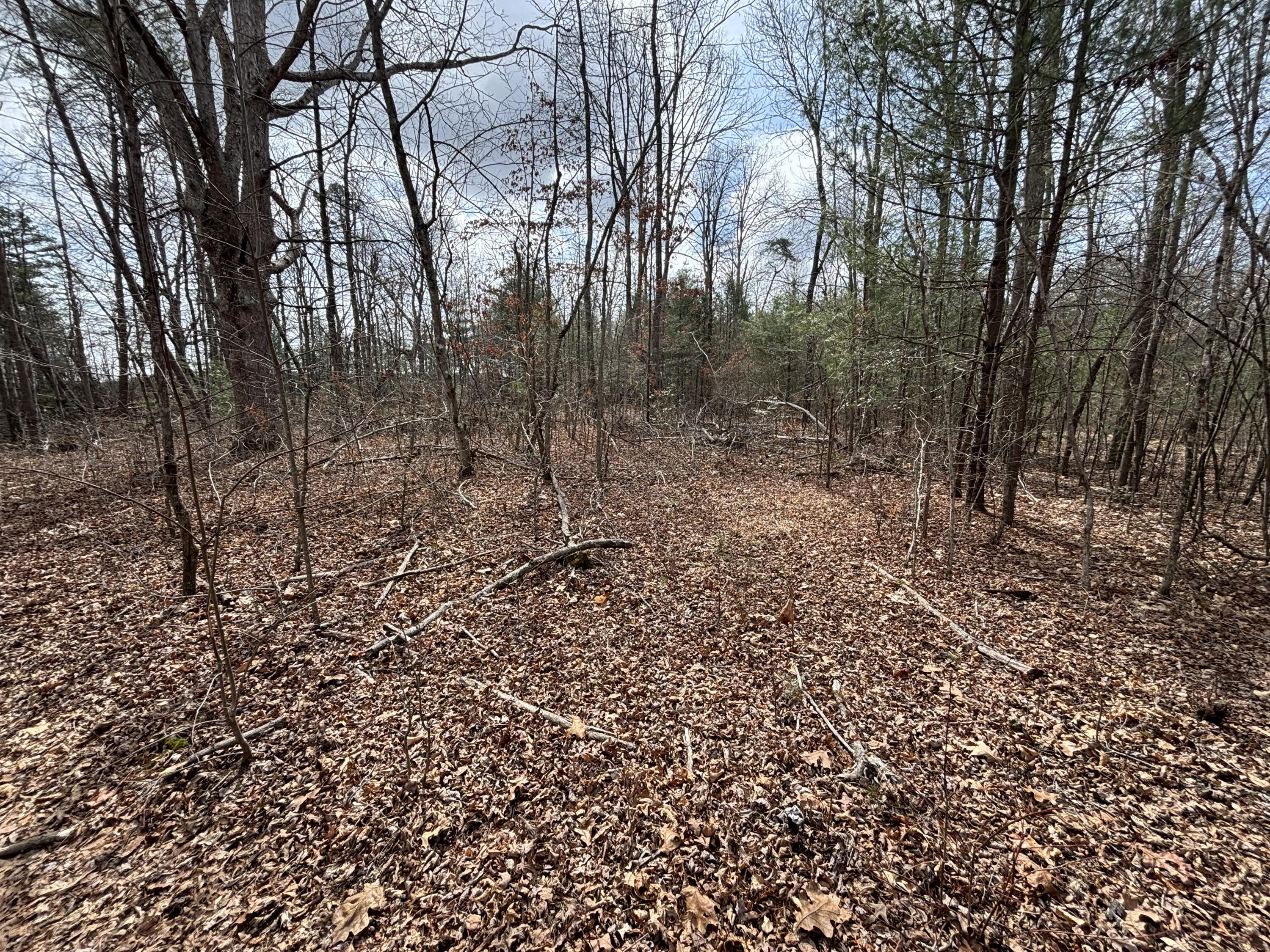 1410 New Harmony Road Graysville, TN 37338 - Photo 21 of 41 Photo Mar 04 2026, 11 46 07 AM