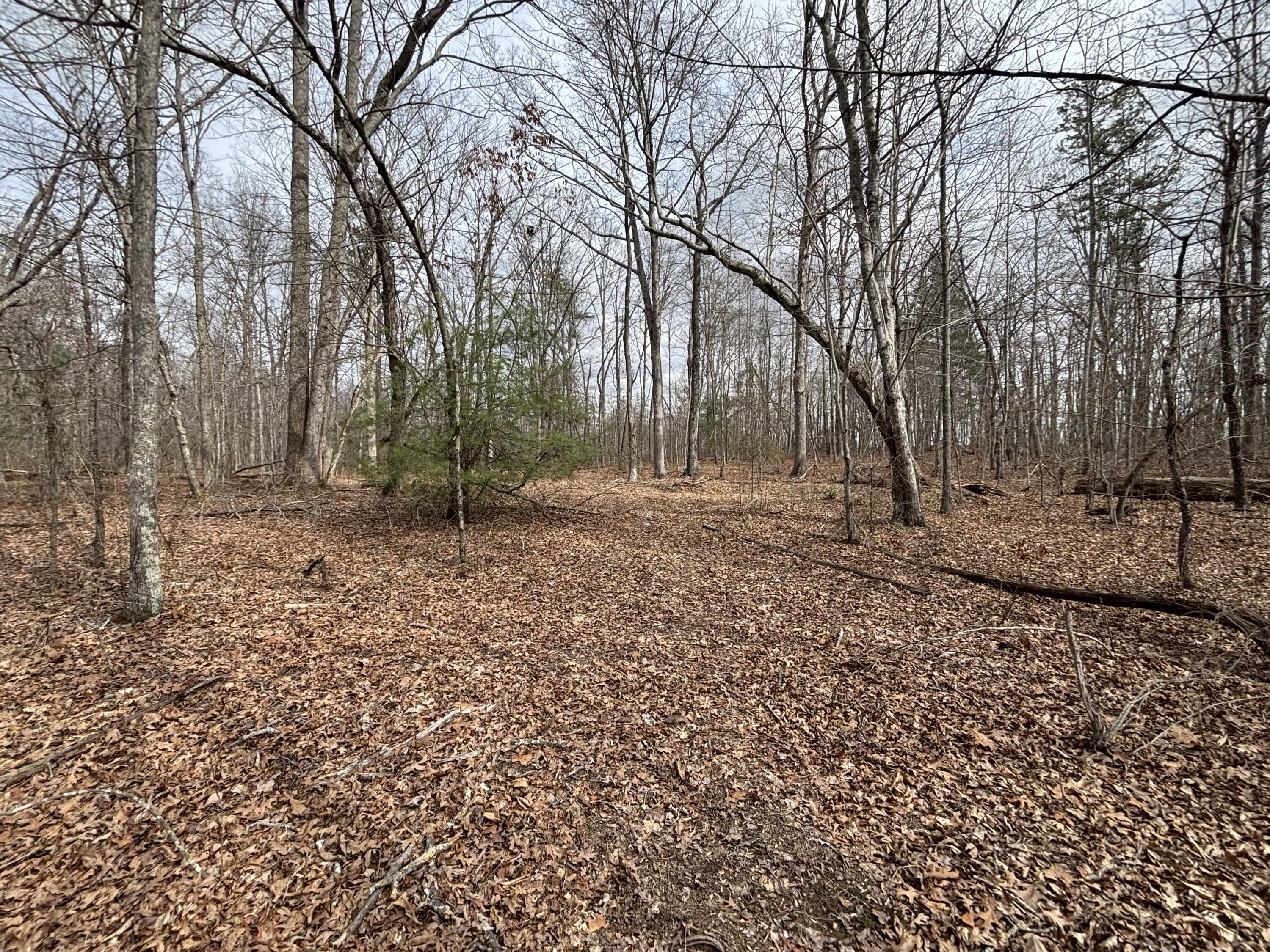 1410 New Harmony Road Graysville, TN 37338 - Photo 23 of 41 Photo Mar 04 2026, 11 48 02 AM