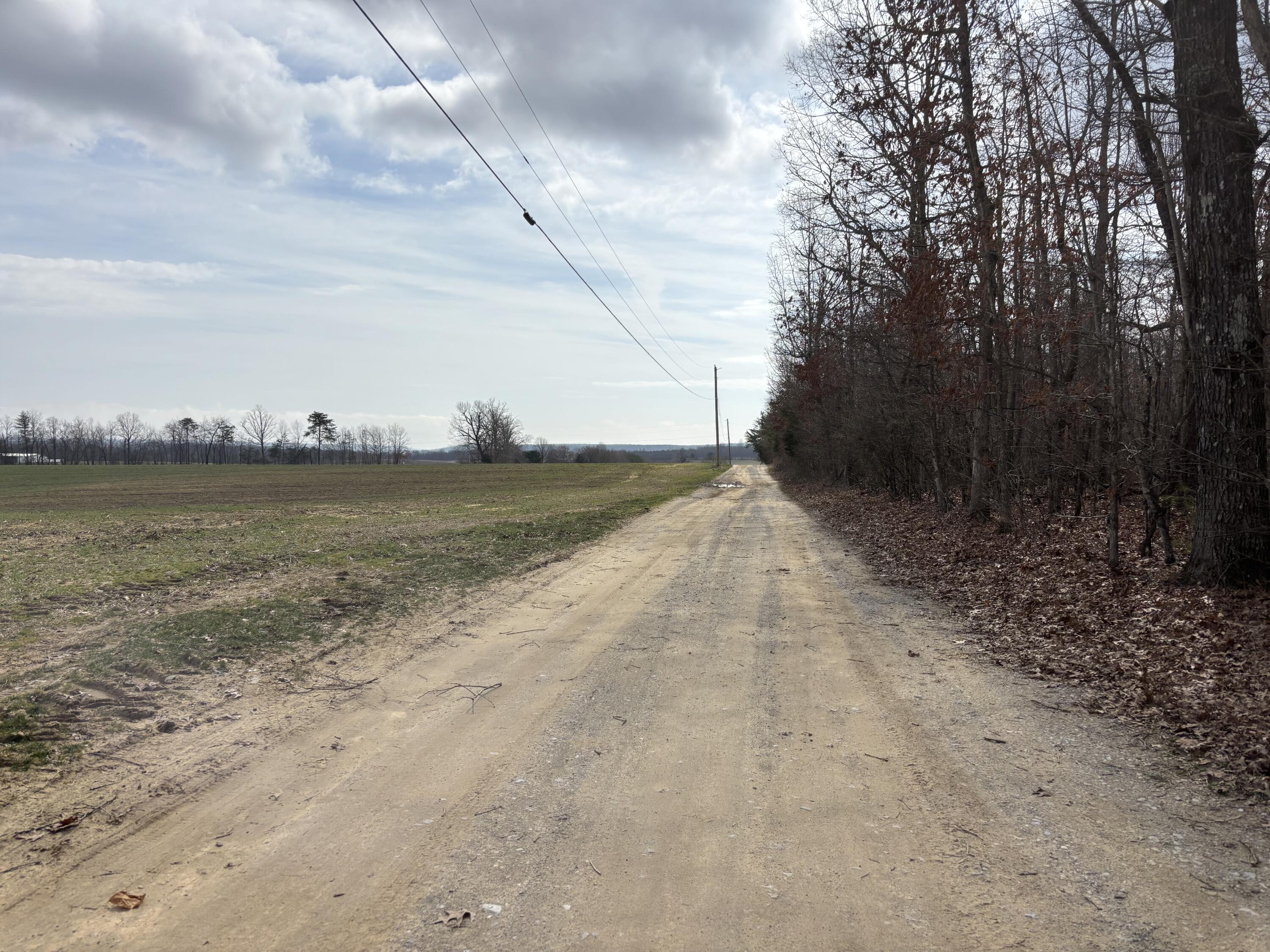 1410 New Harmony Road Graysville, TN 37338 - Photo 5 of 41 Photo Mar 04 2026, 11 23 44 AM