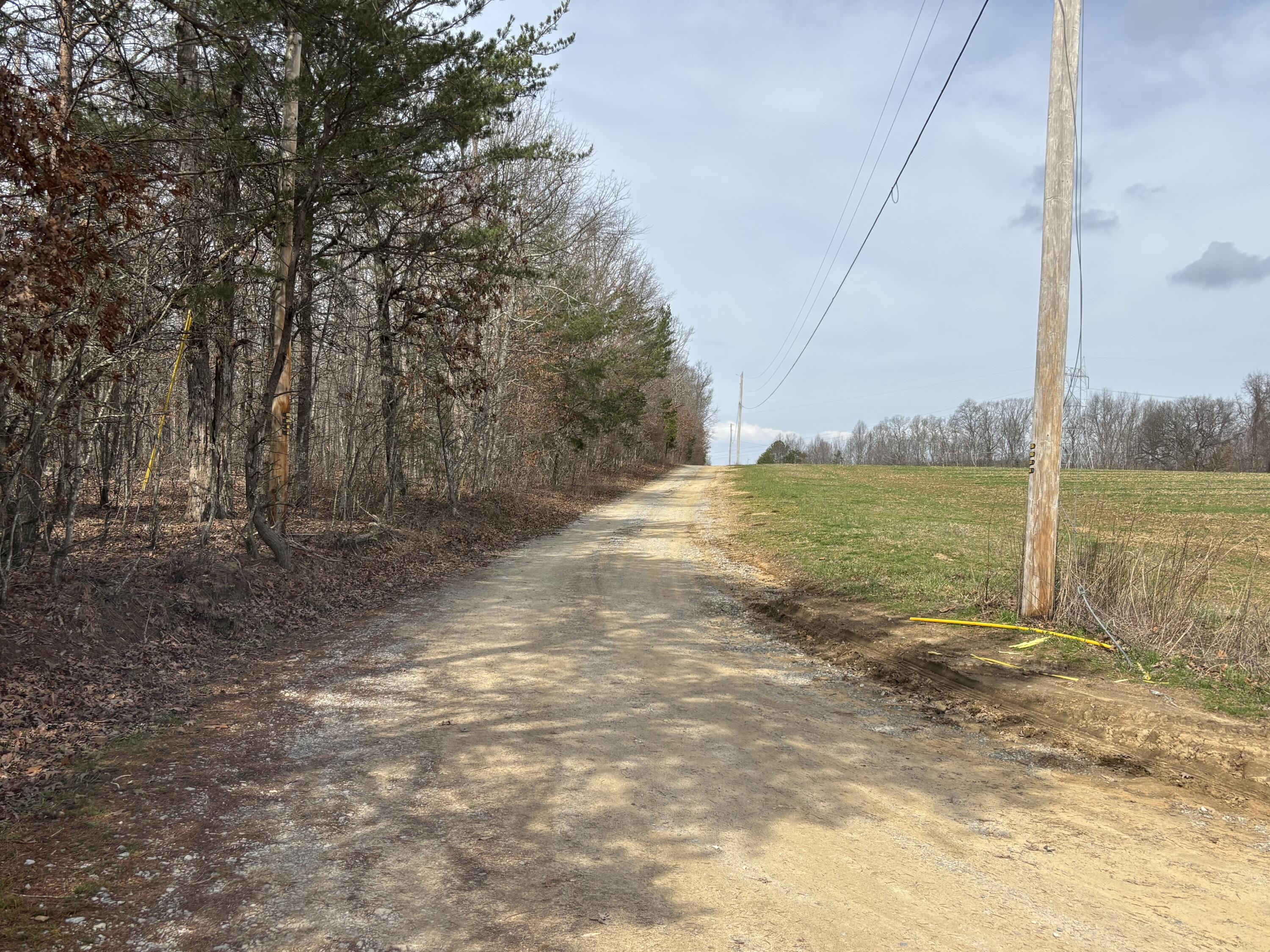 1410 New Harmony Road Graysville, TN 37338 - Photo 6 of 41 Photo Mar 04 2026, 11 30 41 AM