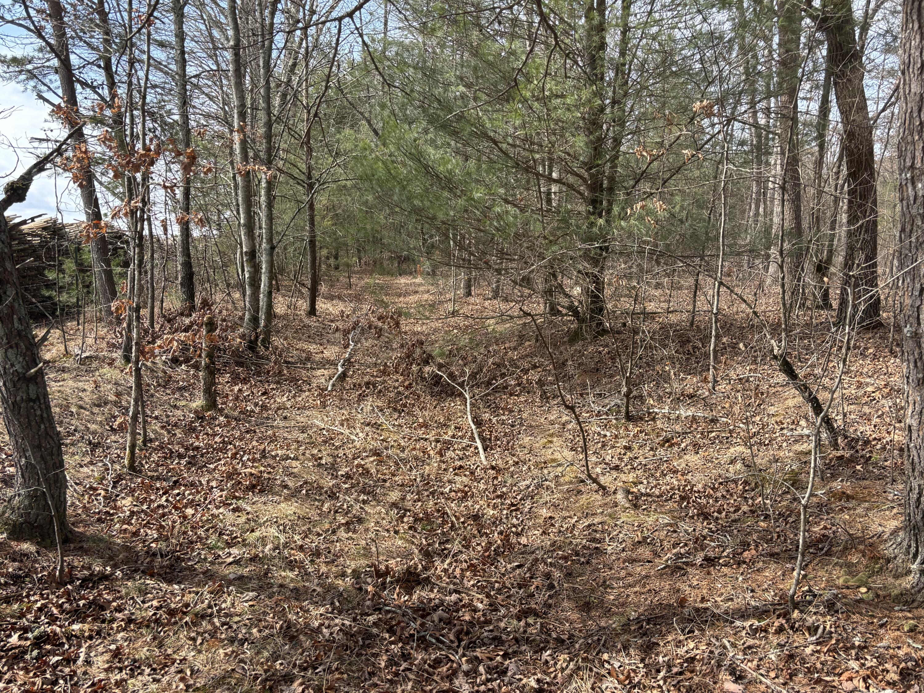 1410 New Harmony Road Graysville, TN 37338 - Photo 7 of 41 Photo Mar 04 2026, 11 32 15 AM