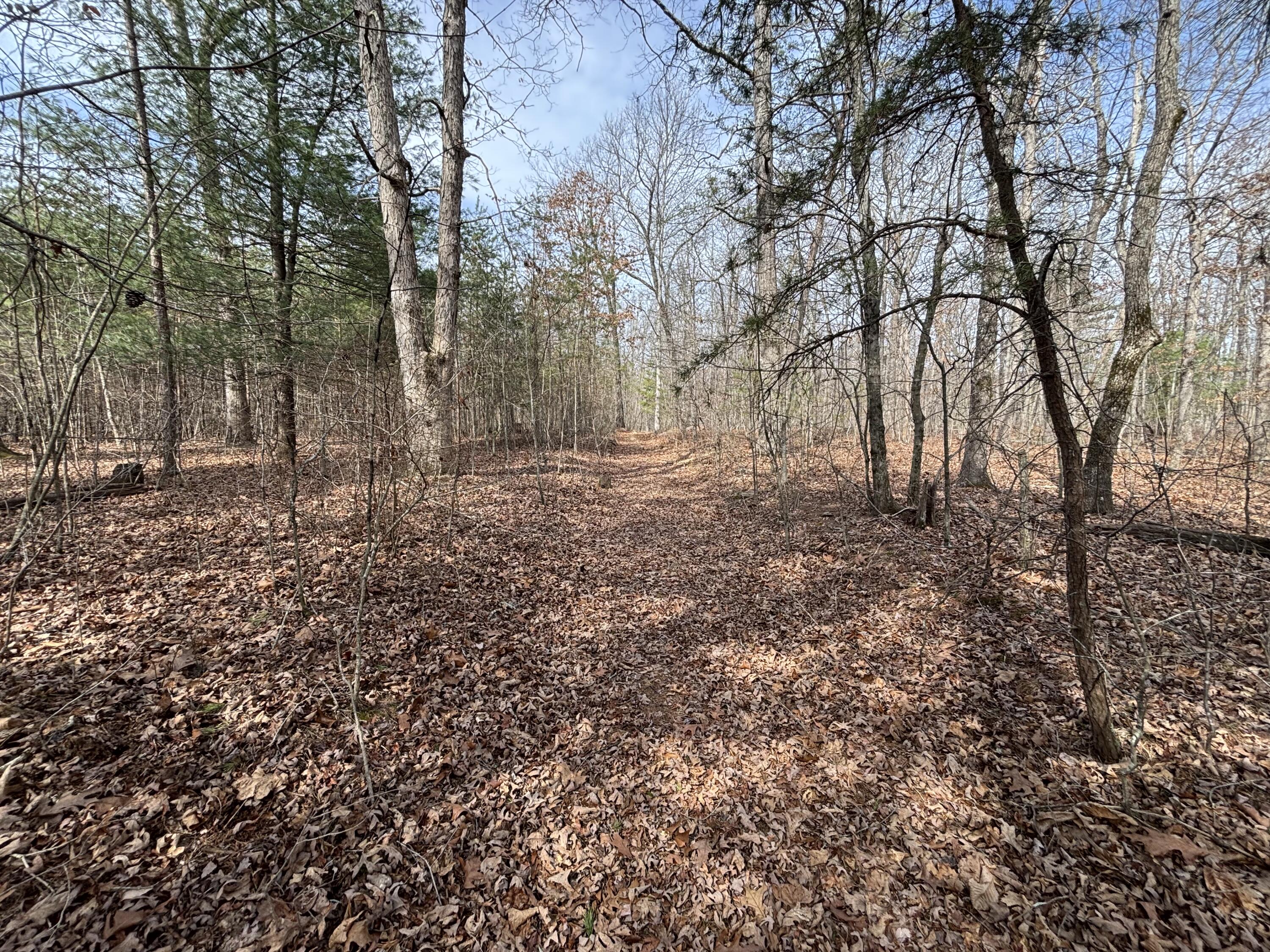 1410 New Harmony Road Graysville, TN 37338 - Photo 10 of 41 Photo Mar 04 2026, 11 33 56 AM