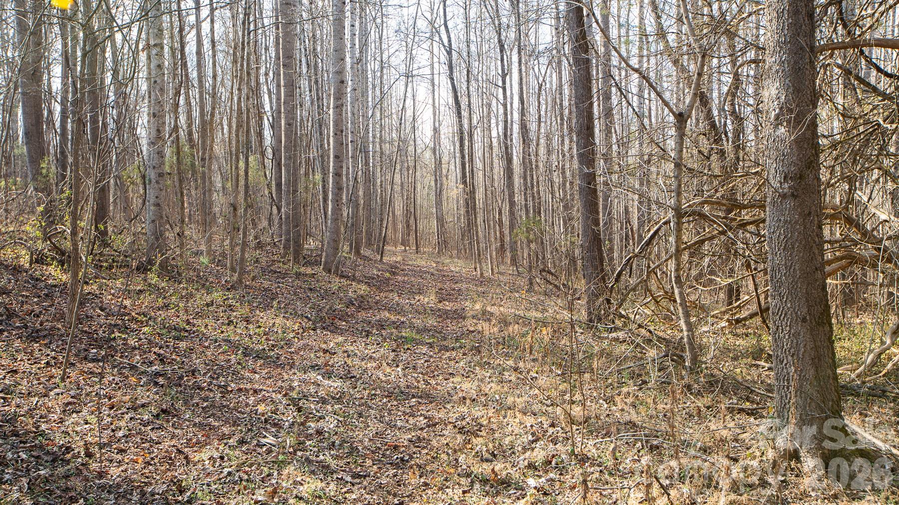 Tbd Upright Road Mount Ulla, NC 28125 - Photo 11 of 35 a view of wooden fence