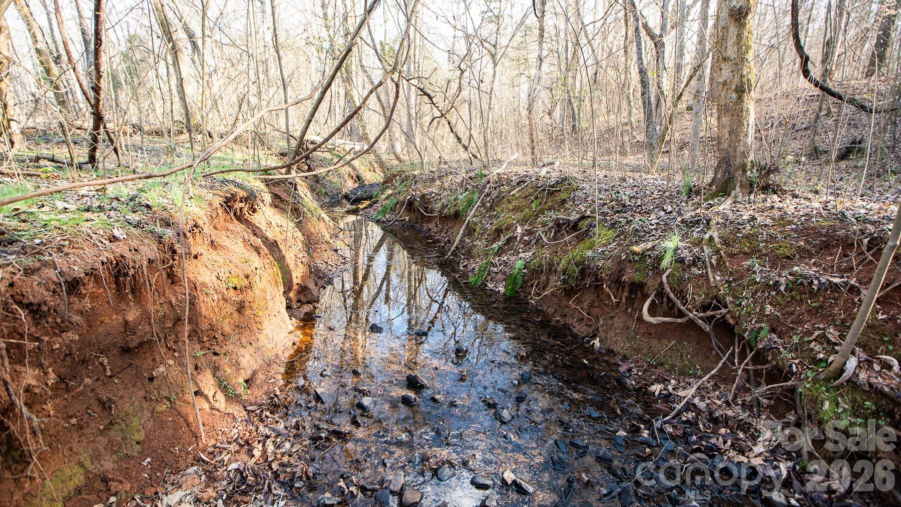Tbd Upright Road Mount Ulla, NC 28125 - Photo 12 of 35 a view of a yard with a tree