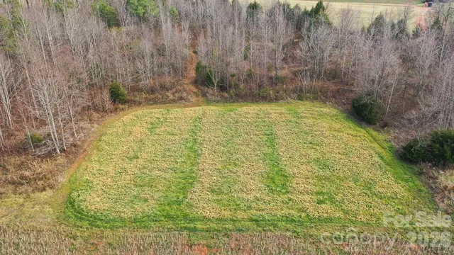 a view of a garden with a pathway