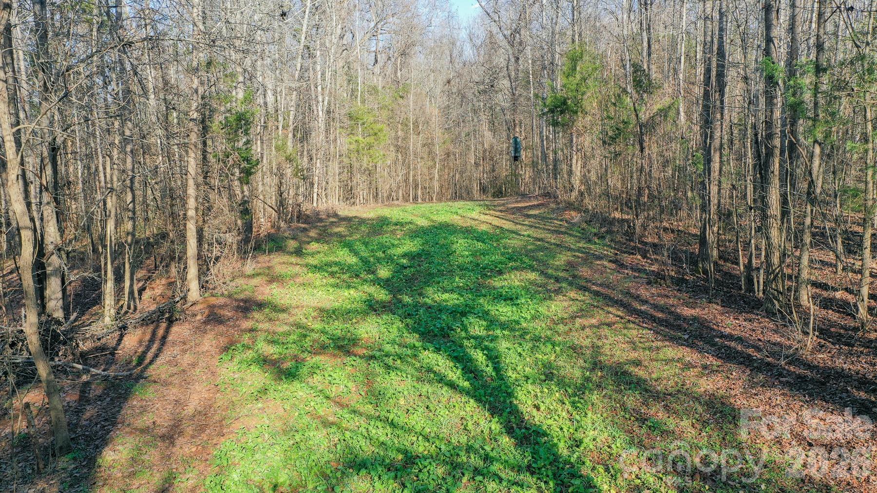 Tbd Upright Road Mount Ulla, NC 28125 - Photo 26 of 35 a view of a garden with a pathway