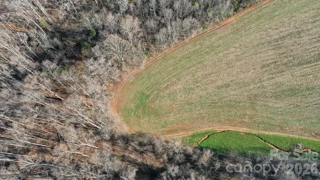 a close up view of a plant
