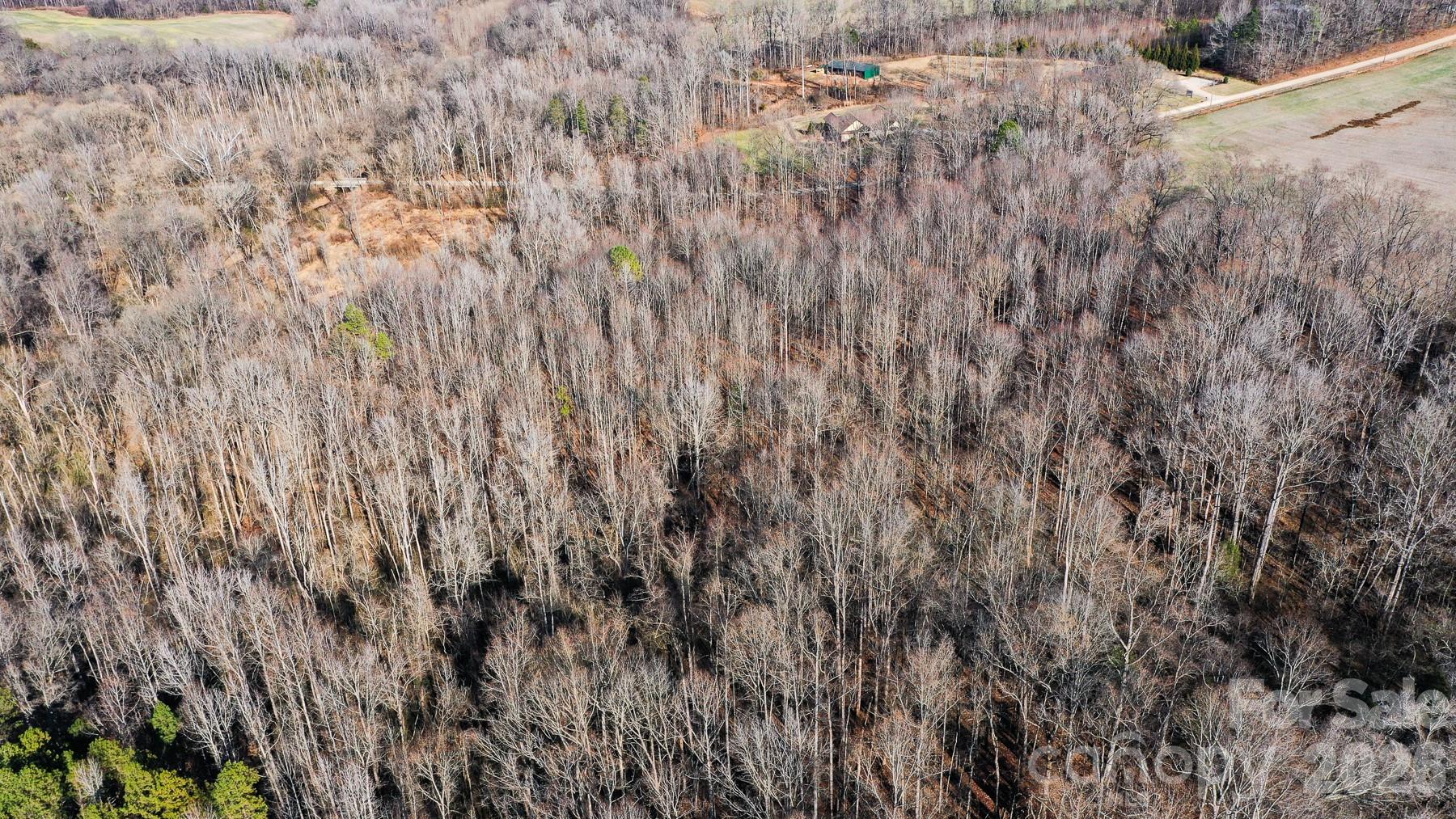 Tbd Upright Road Mount Ulla, NC 28125 - Photo 29 of 35 a close up view of a plant