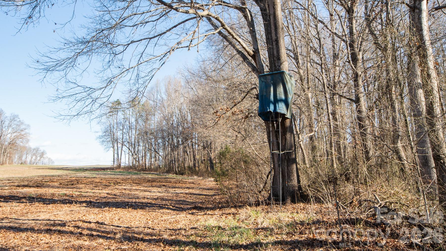 Tbd Upright Road Mount Ulla, NC 28125 - Photo 31 of 35 a view of a yard with large trees