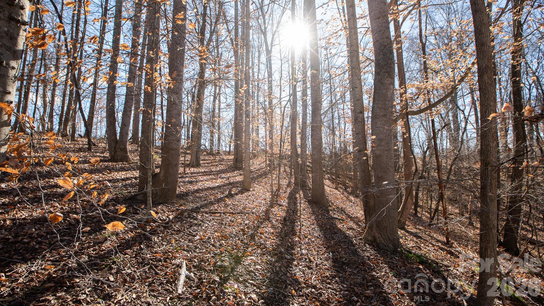 Tbd Upright Road Mount Ulla, NC 28125 - Photo 33 of 35 a view of a backyard of the house