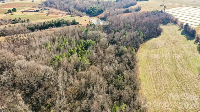 a view of a yard with plants