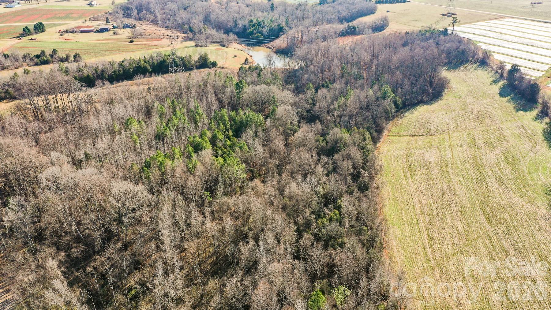 Tbd Upright Road Mount Ulla, NC 28125 - Photo 4 of 35 a view of a yard with plants