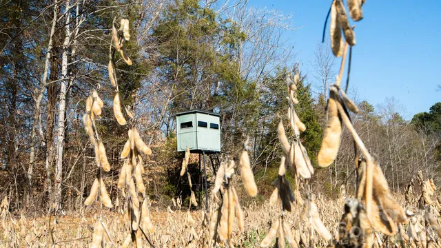 a picture of street view