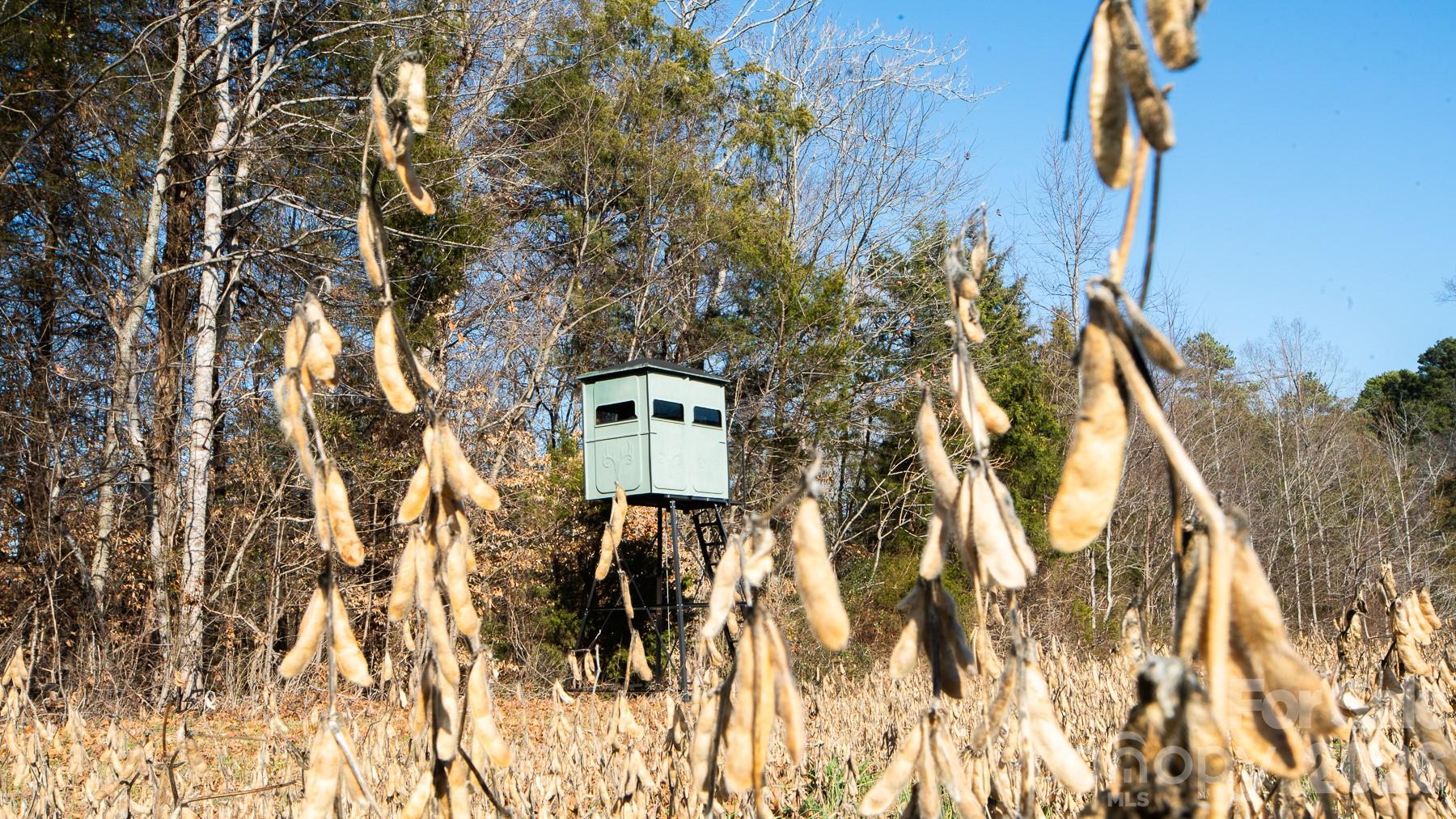 Tbd Upright Road Mount Ulla, NC 28125 - Photo 8 of 35 a picture of street view