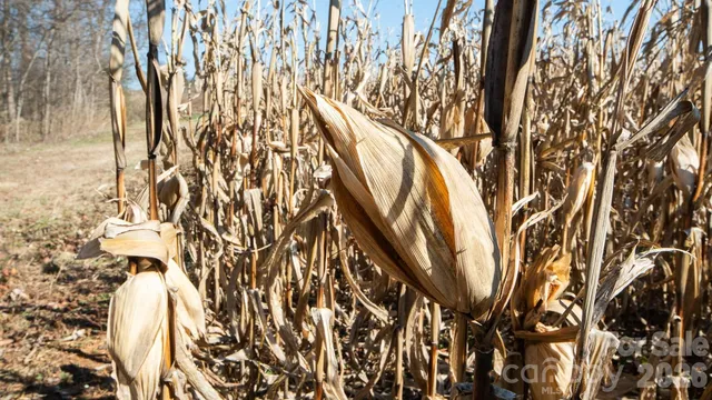 a view of wooden fence