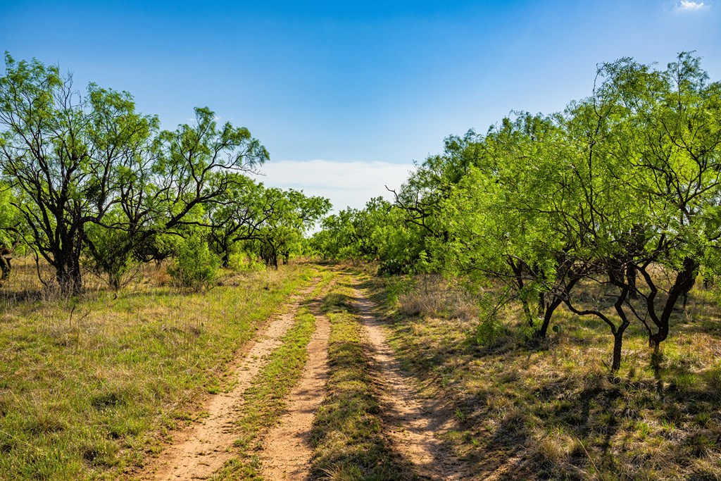 701 County Road Goldsboro, TX 79519 - Photo 10 of 24 a view of a yard