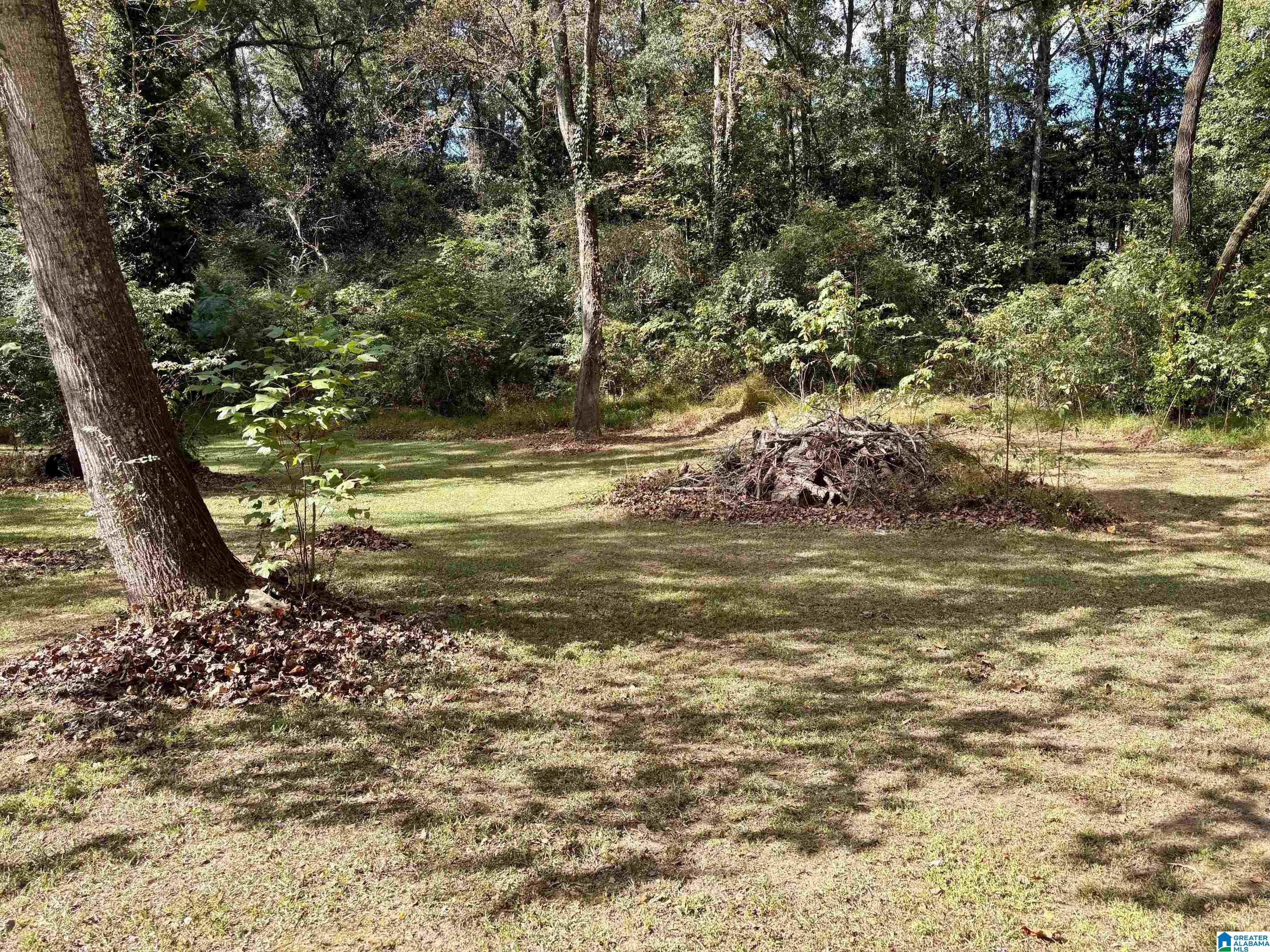 44 Freeman Street Heflin, AL 36264 - Photo 35 of 38