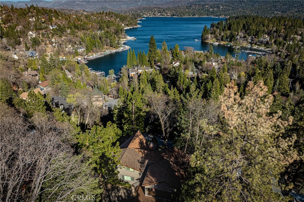 27550 North Bay Road Lake Arrowhead, CA 92352 - Photo 49 of 53 a view of a yard with plants