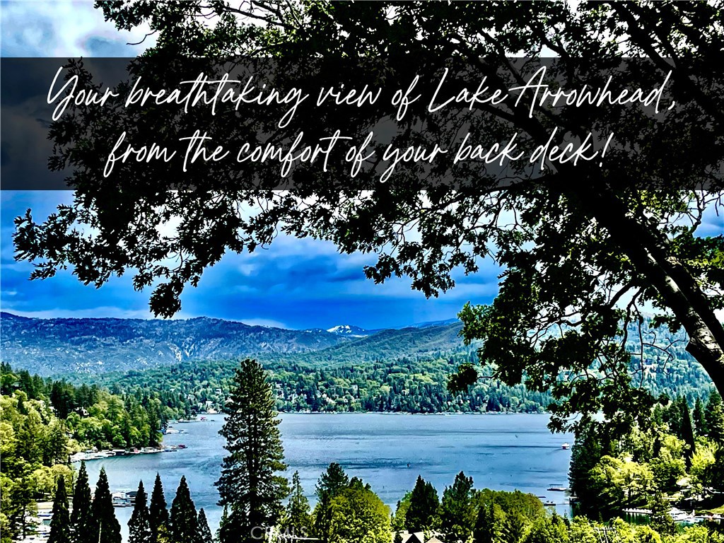 27550 North Bay Road Lake Arrowhead, CA 92352 - Photo 8 of 53 a view of a yard