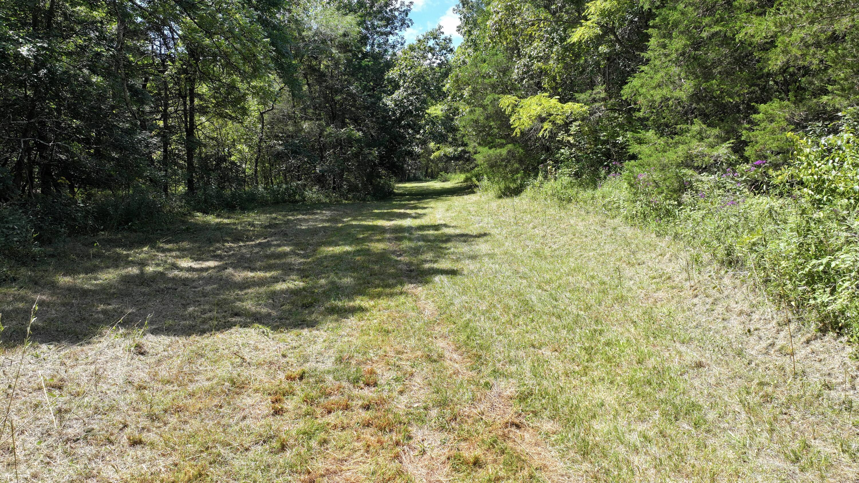 0 Caney Creek Road Owenton, KY 40359 - Photo 31 of 35