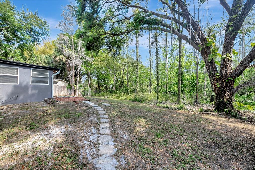16133 Ravendale Drive Tampa, FL 33618 - Photo 39 of 46 a view of a yard with plants and a large tree