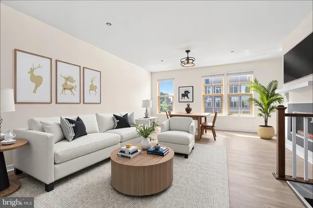 a living room with furniture potted plant and a window