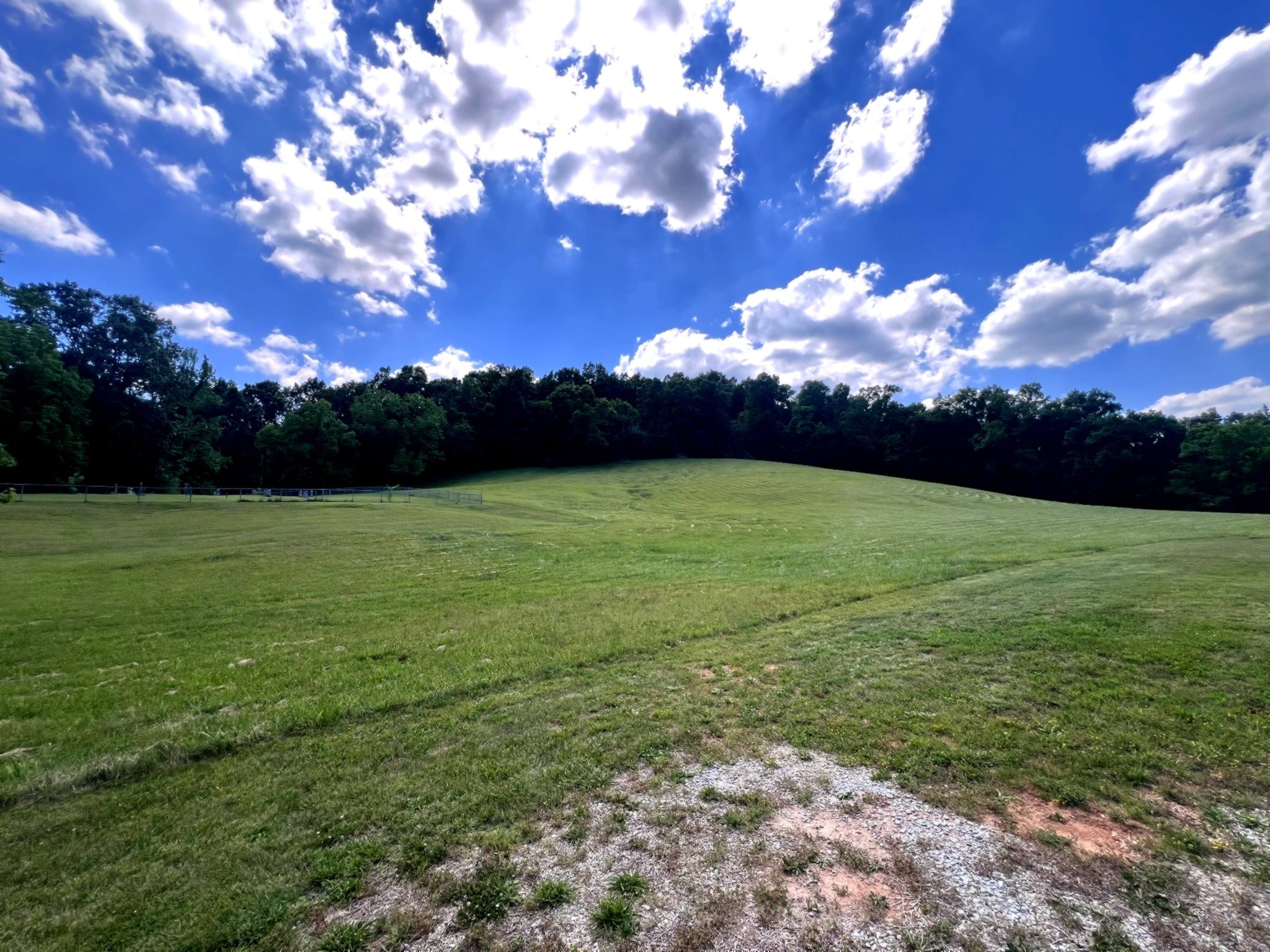1133 Culps Bend Road Clifton, TN 38425 - Photo 37 of 51 a view of a trees with a yard