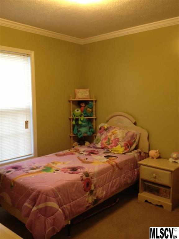 1996 Red Berry Lane Conover, NC 28613 - Photo 10 of 12 Gallery Image 10