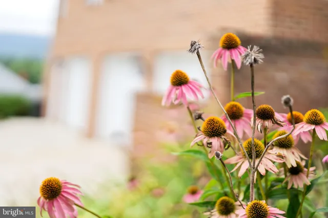 a view of a balcony with wooden floor
