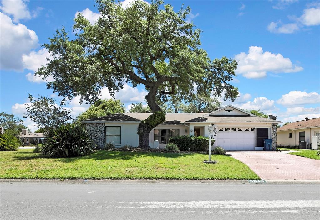 5042 Gaston Street Spring Hill, FL 34607 - Photo 1 of 1 a front view of a house with a garden and trees