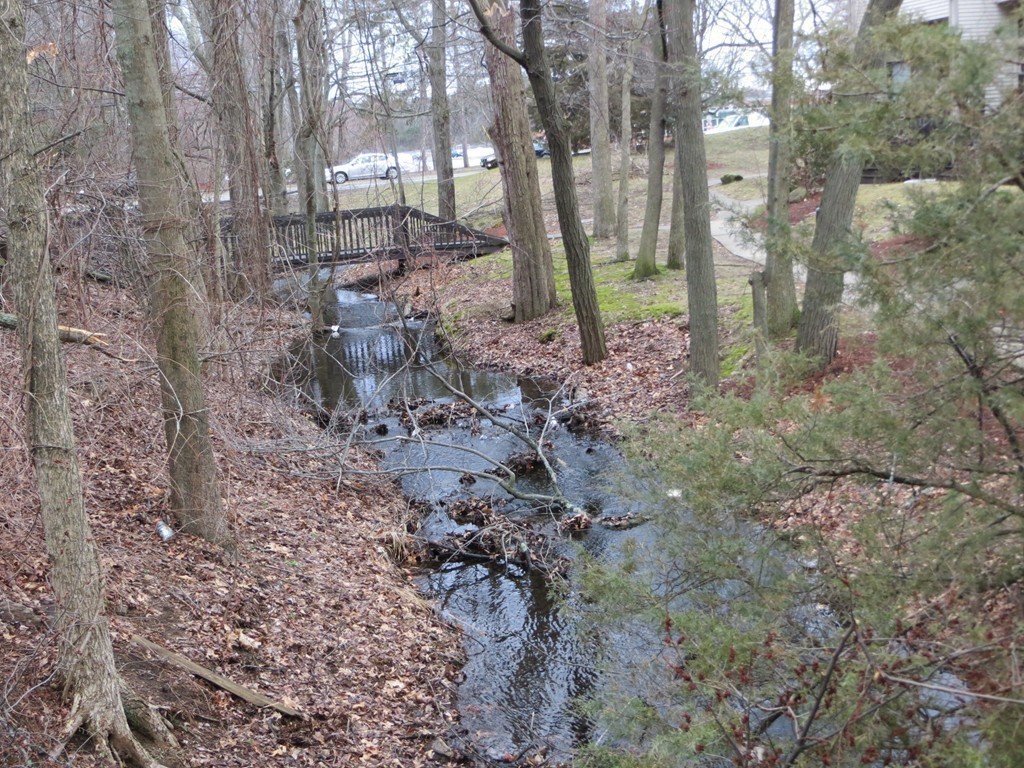 255 North Road, Unit 46 Chelmsford, MA 01824 - Photo 27 of 30