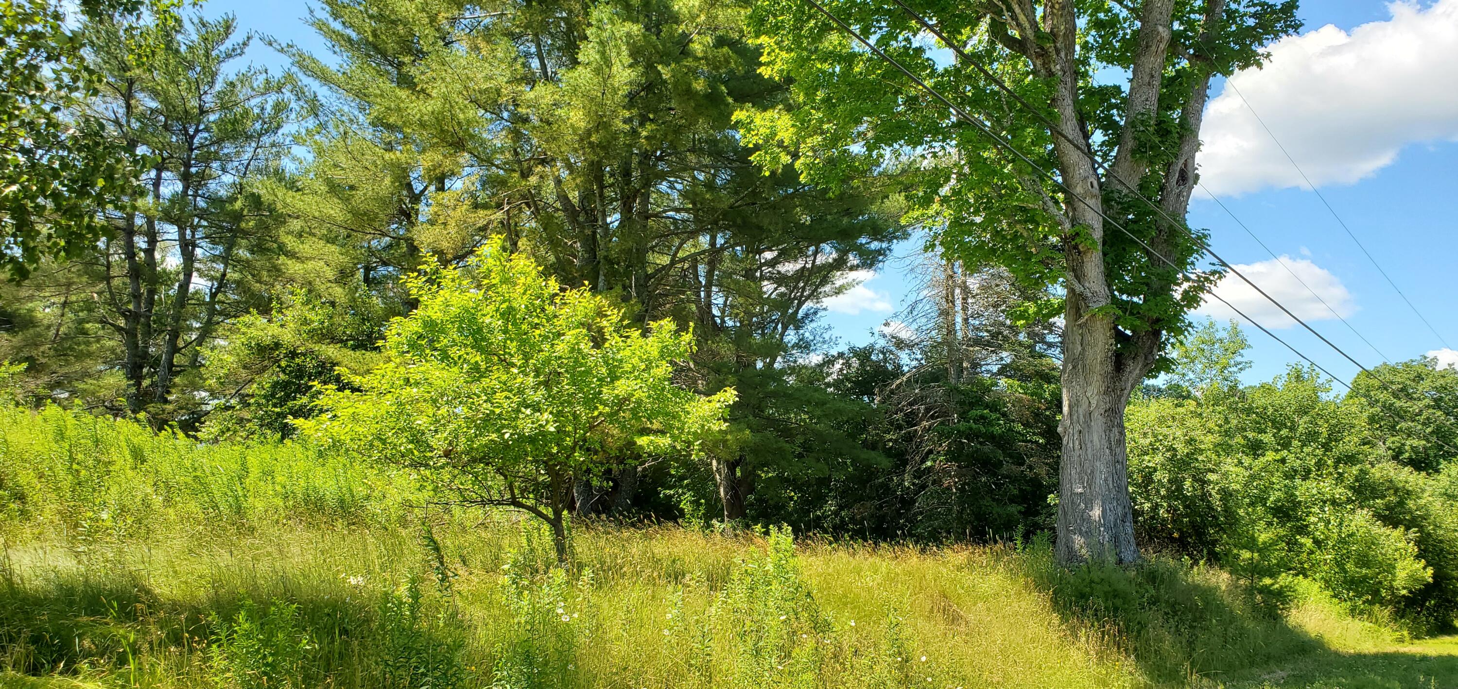 0 Garland Road Carmel, ME 04419 - Photo 4 of 13 20220704_114105